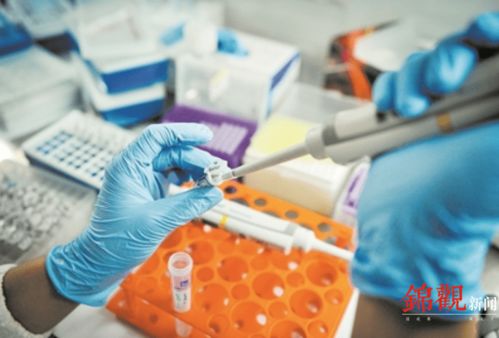 睿樂達再次吸睛 從機器人到原研藥，看成都566.8億元高新技術(shù)產(chǎn)品背后的創(chuàng)新韌性