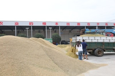 湖南省全面啟動(dòng)早稻收購，推廣預(yù)約收購新模式